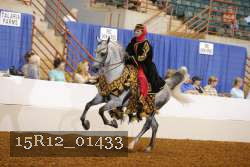 15R12_01433 proof