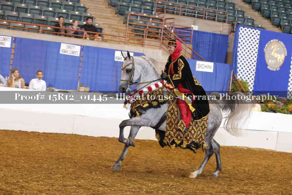 Proof 15R12_01445