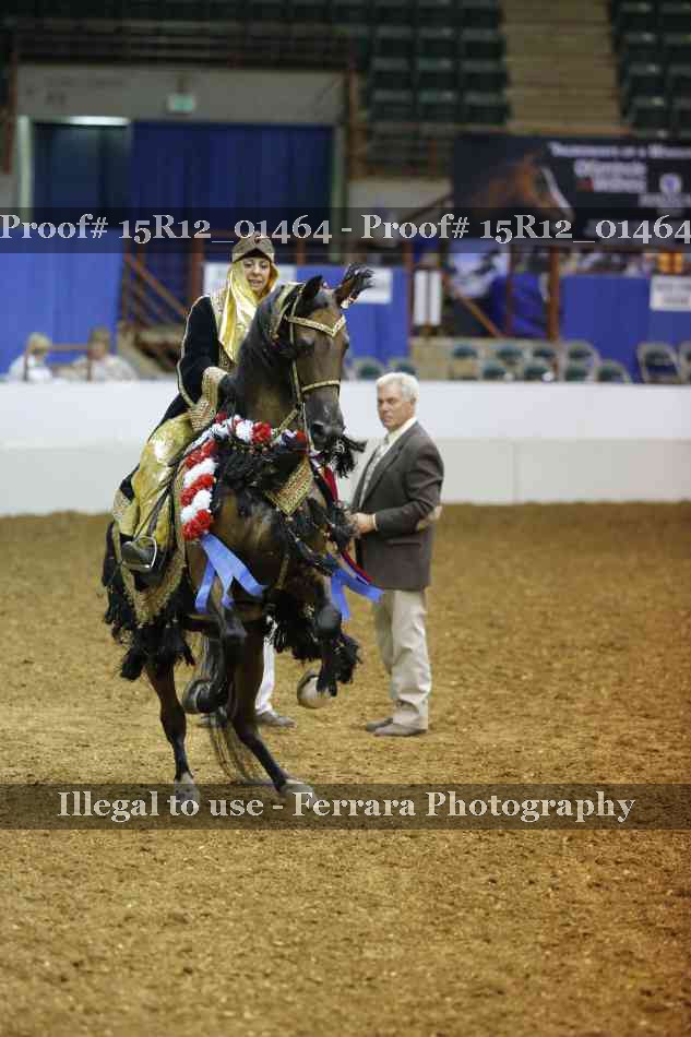 Proof 15R12_01464