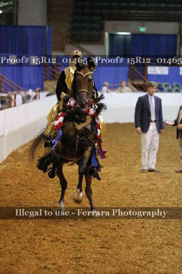 Proof 15R12_01465