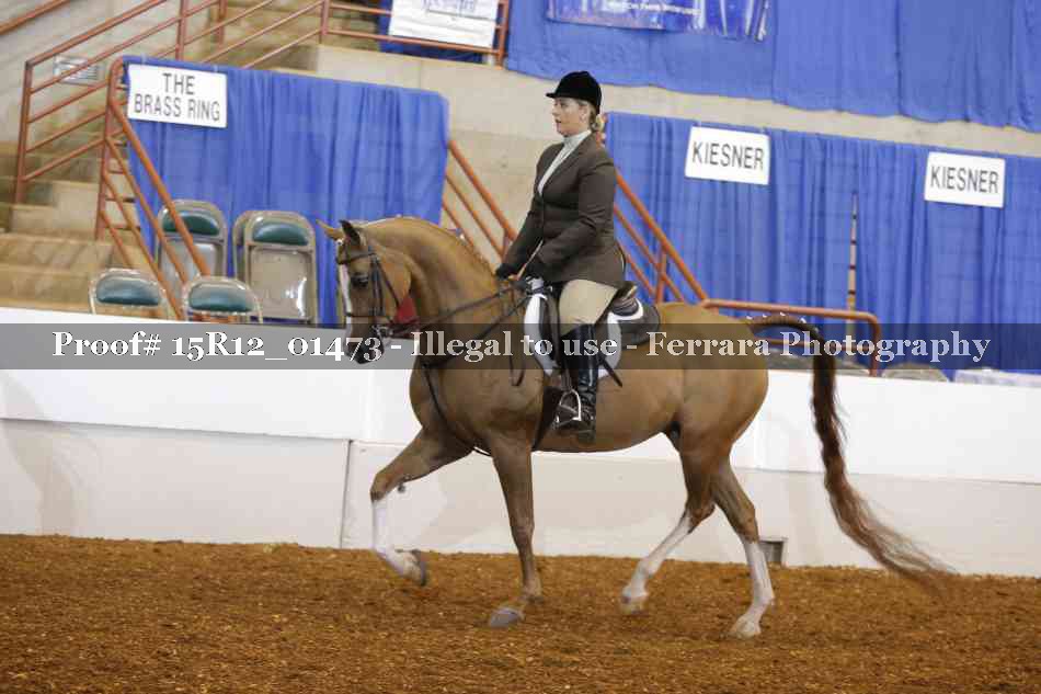 Proof 15R12_01473
