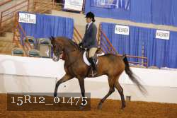 15R12_01475 proof