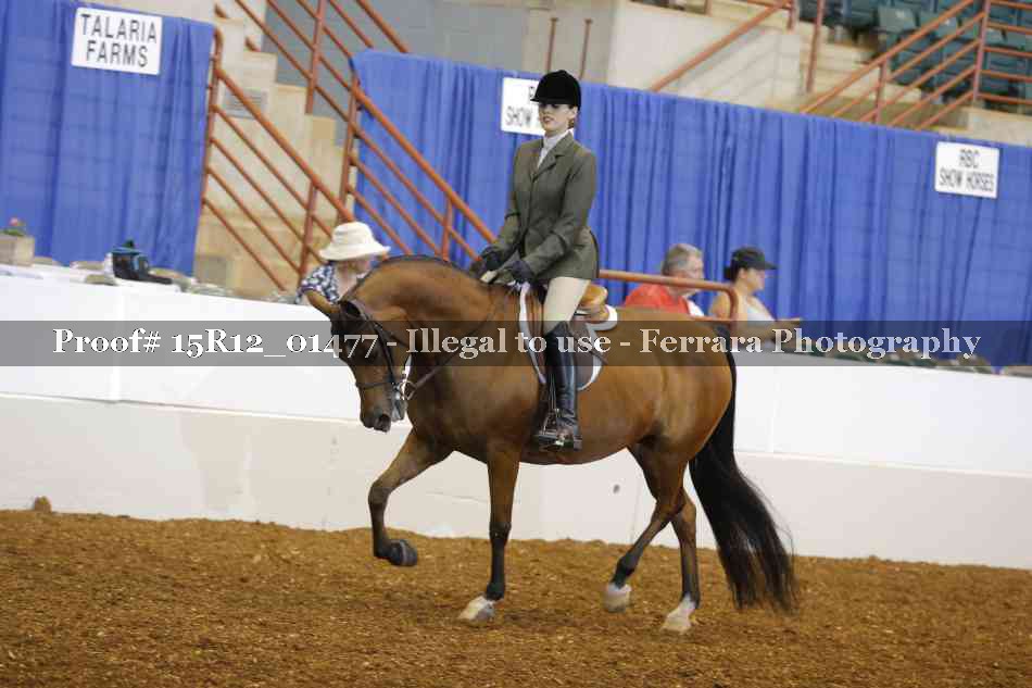Proof 15R12_01477