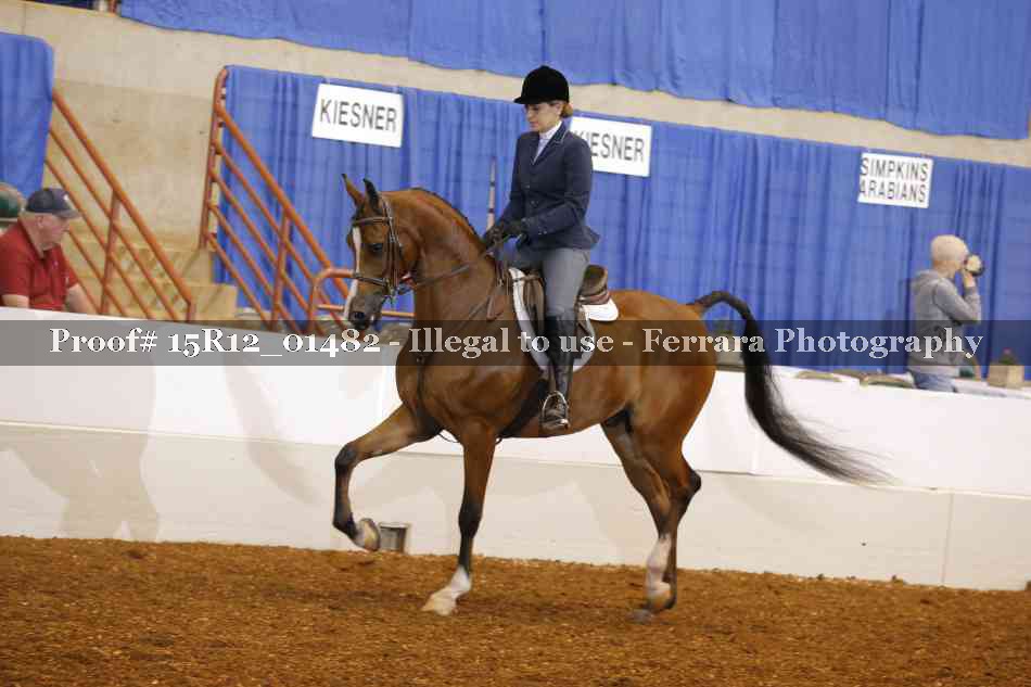 Proof 15R12_01482