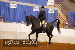 15R12_01484 proof
