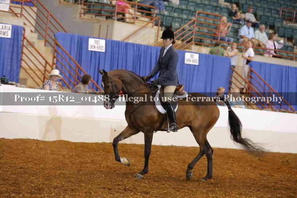 Proof 15R12_01488