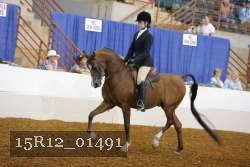15R12_01491 proof