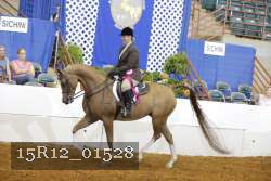 15R12_01528 proof