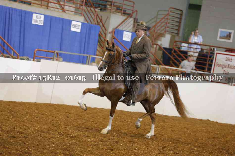 Proof 15R12_01615