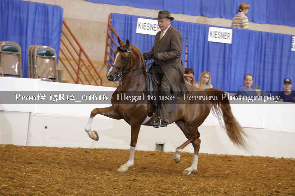 Proof 15R12_01616