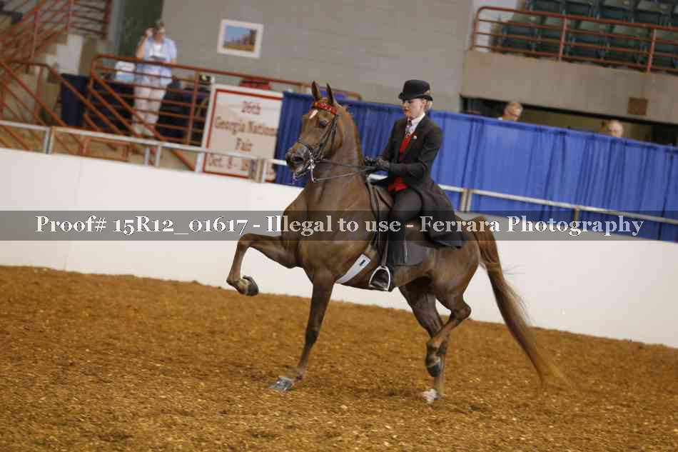 Proof 15R12_01617