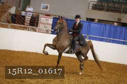 15R12_01617 proof
