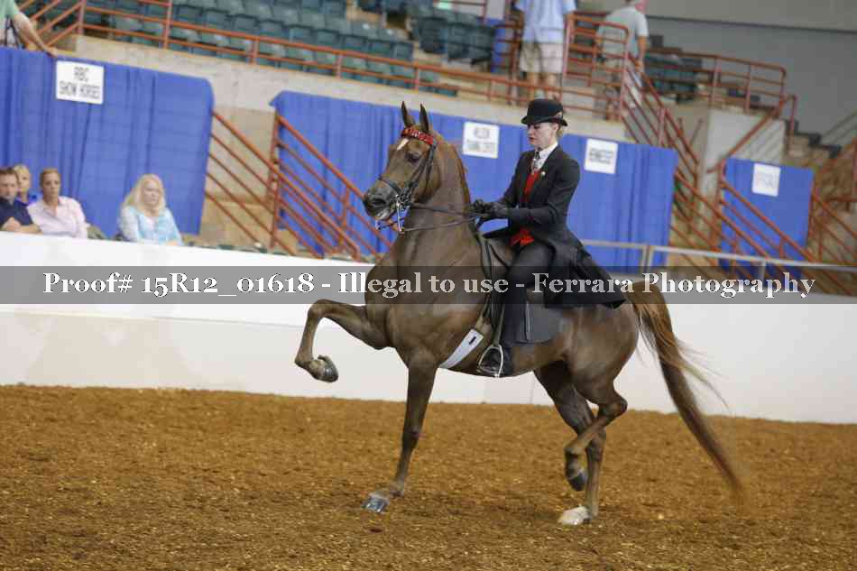 Proof 15R12_01618