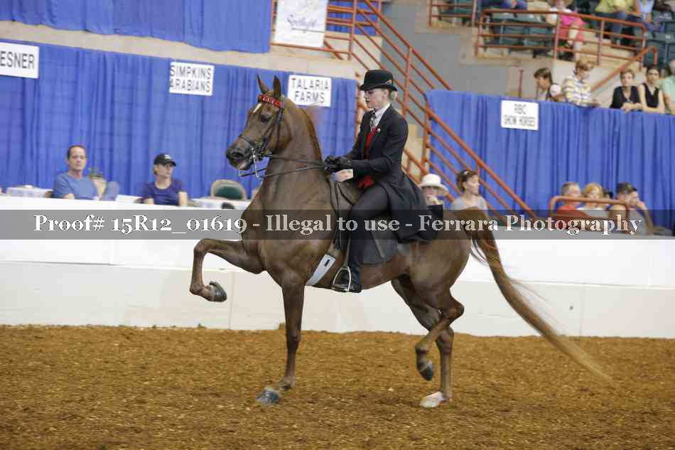 Proof 15R12_01619