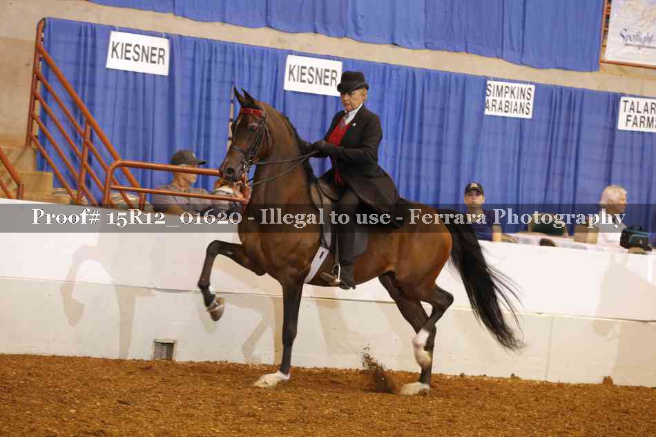 Proof 15R12_01620