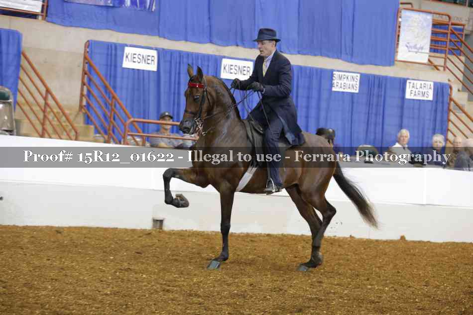 Proof 15R12_01622