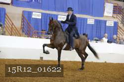 15R12_01622 proof