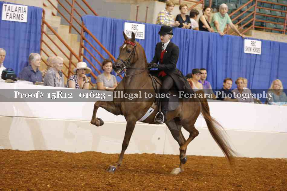 Proof 15R12_01623