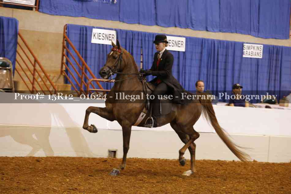 Proof 15R12_01624