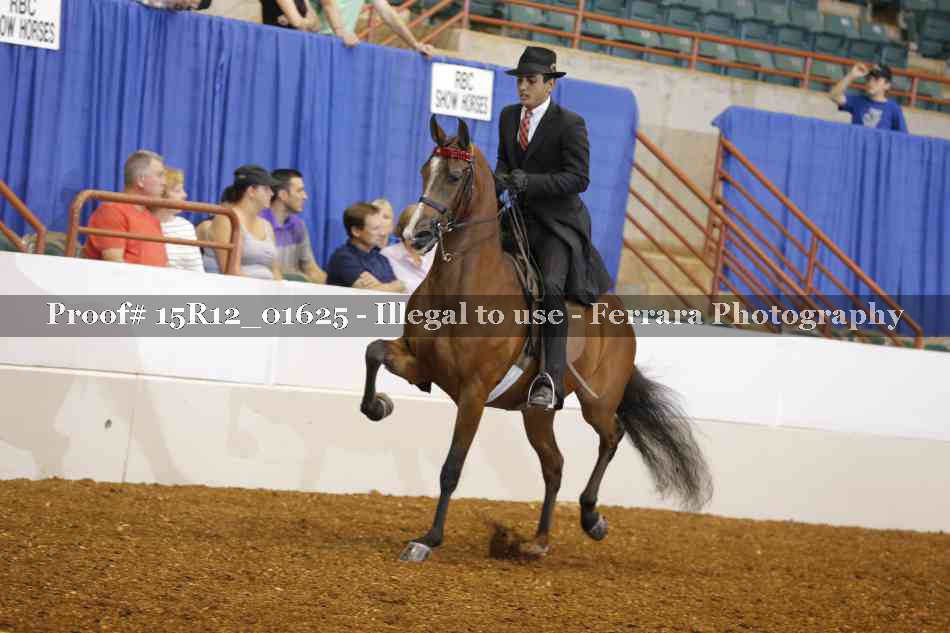 Proof 15R12_01625