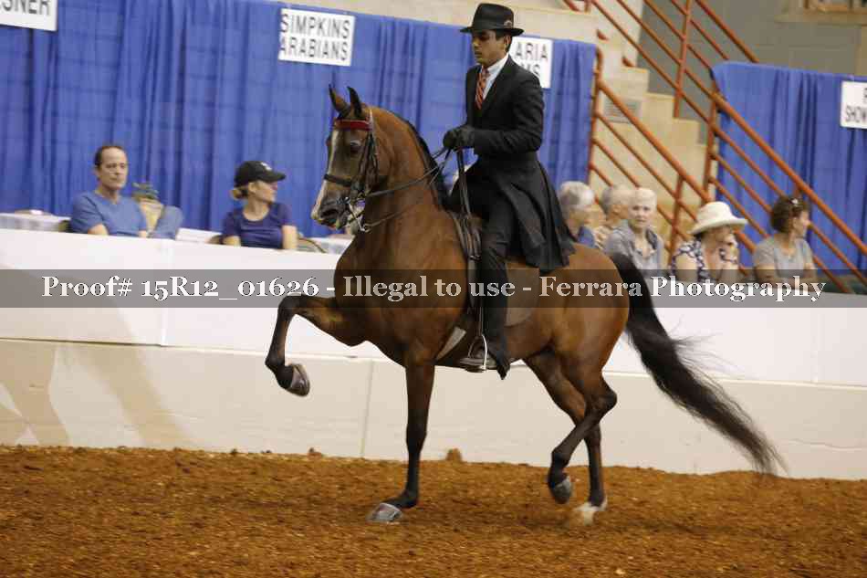 Proof 15R12_01626