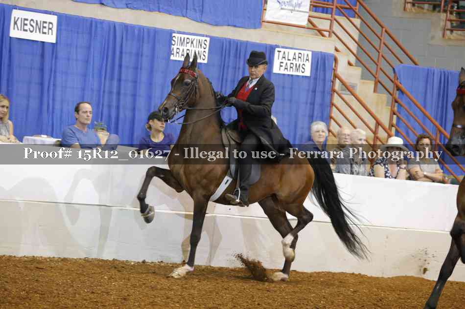 Proof 15R12_01627