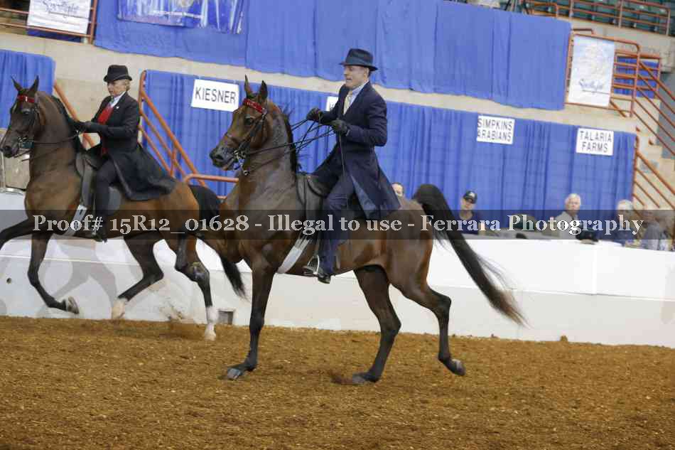 Proof 15R12_01628