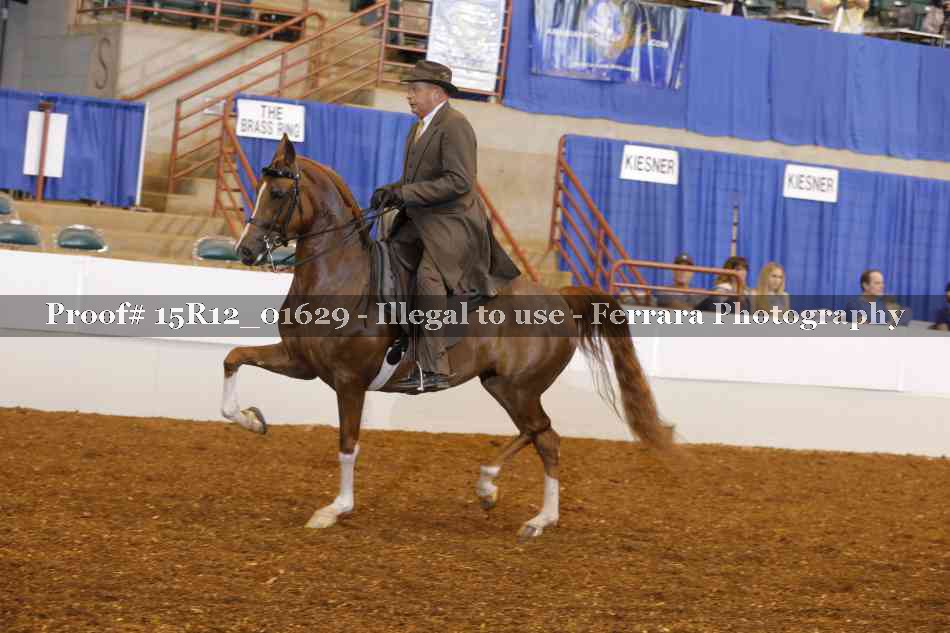 Proof 15R12_01629