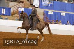 15R12_01629 proof