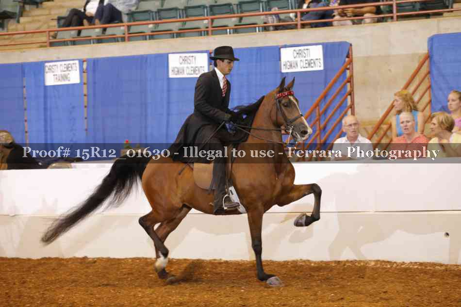 Proof 15R12_01630