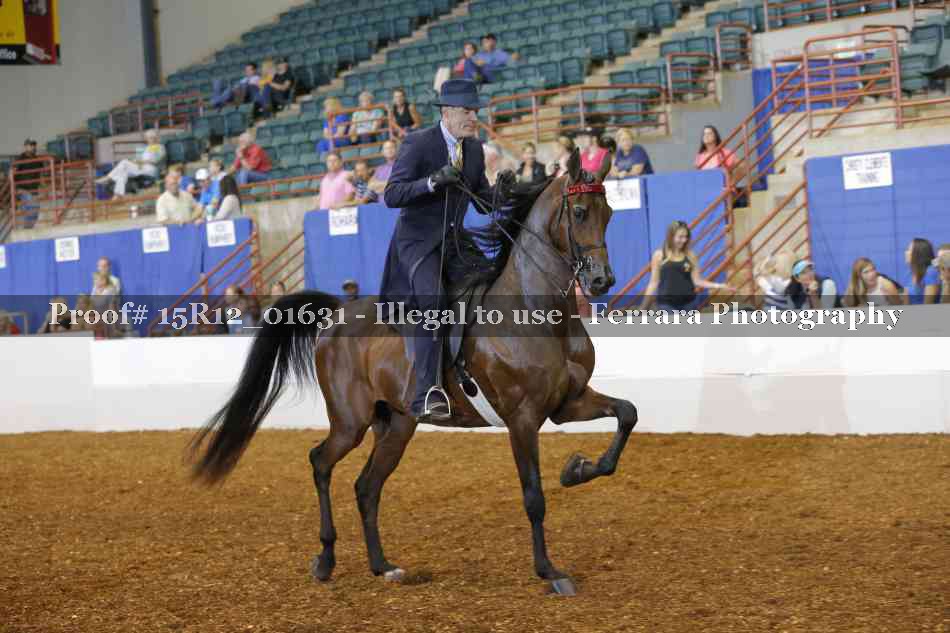 Proof 15R12_01631