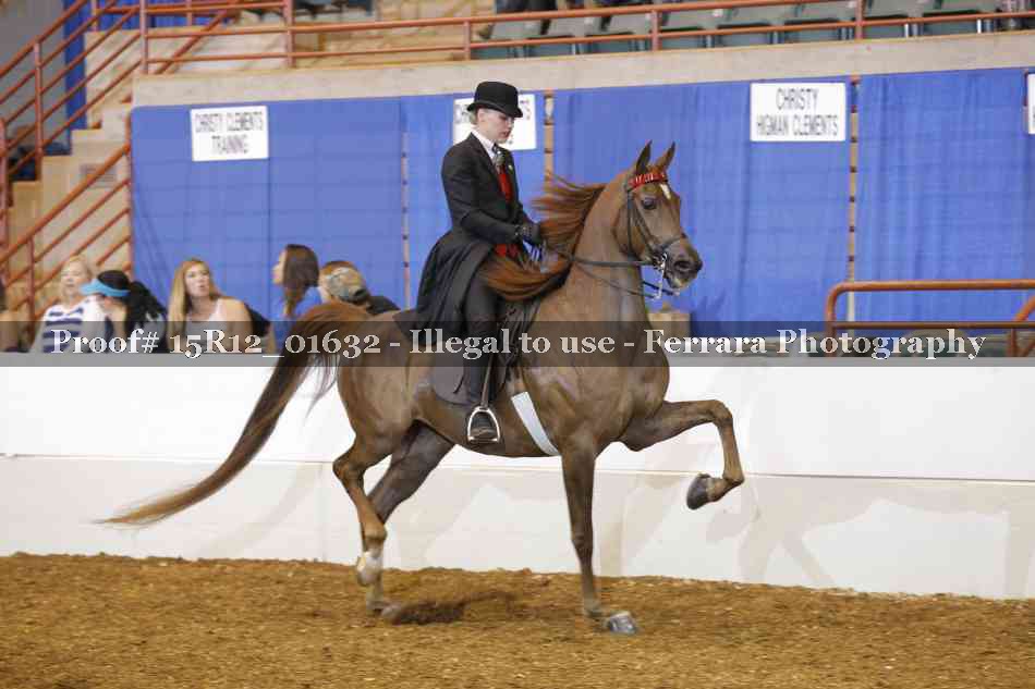 Proof 15R12_01632