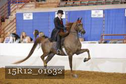 15R12_01632 proof