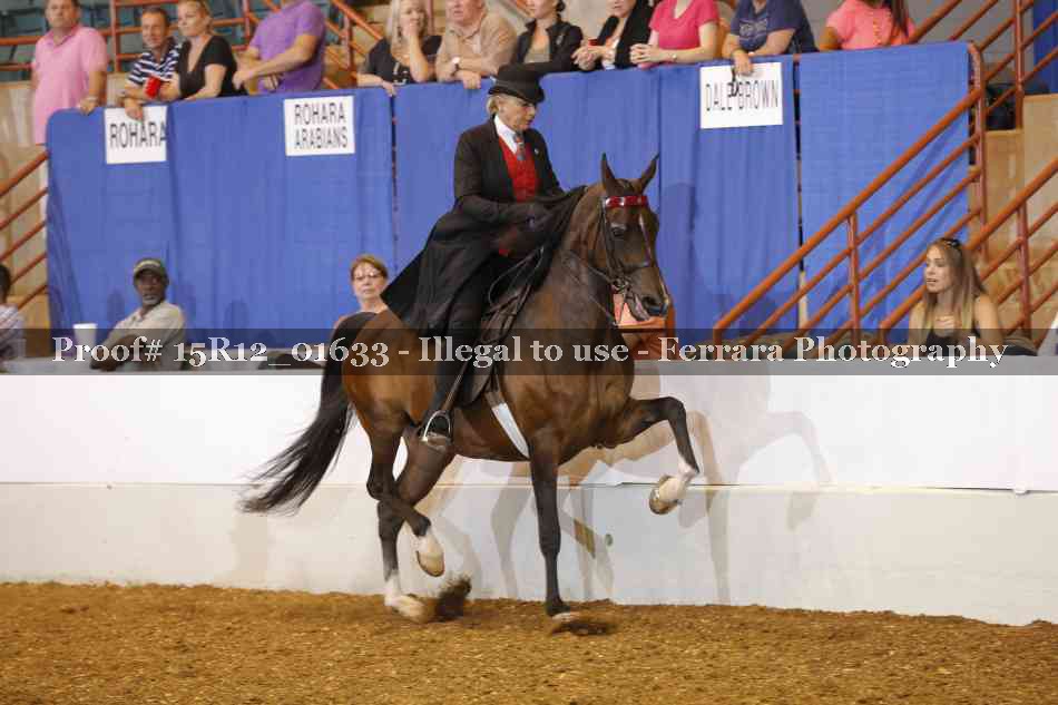 Proof 15R12_01633