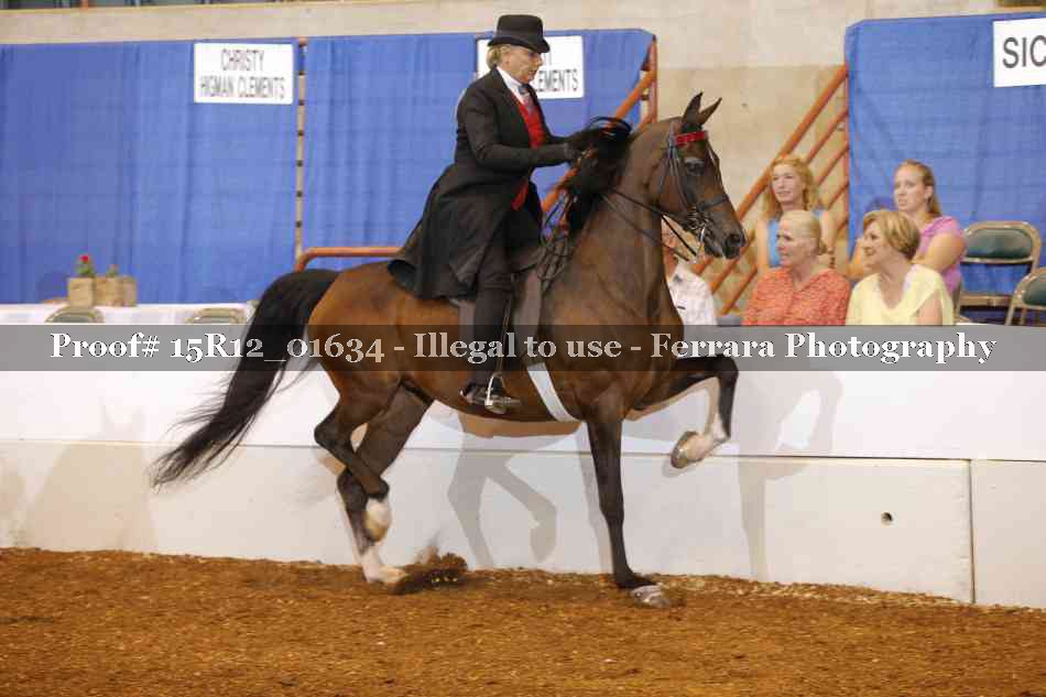 Proof 15R12_01634