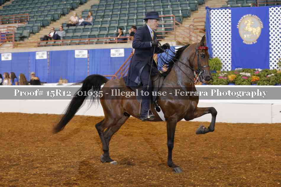 Proof 15R12_01635