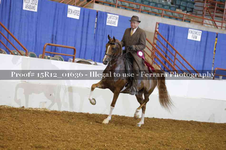 Proof 15R12_01636