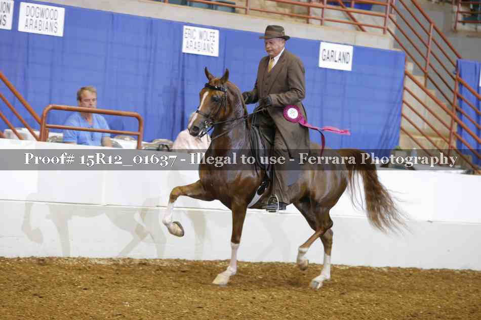 Proof 15R12_01637