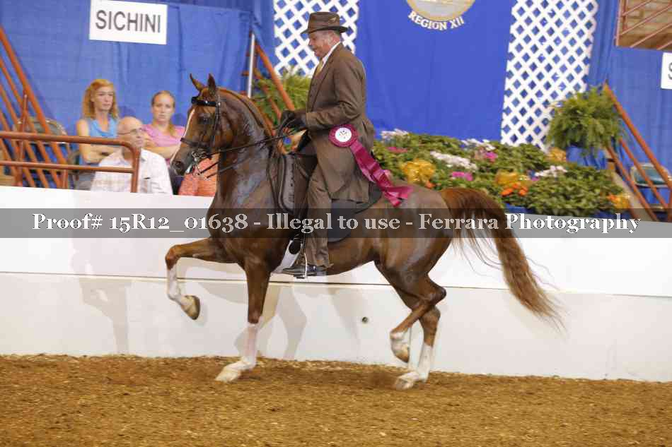 Proof 15R12_01638