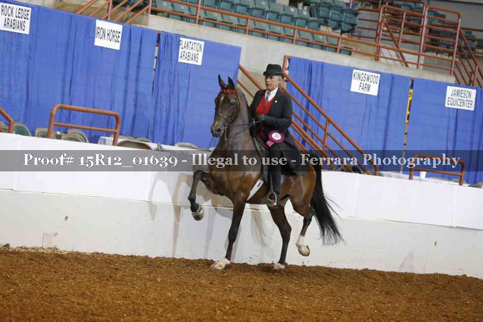 Proof 15R12_01639