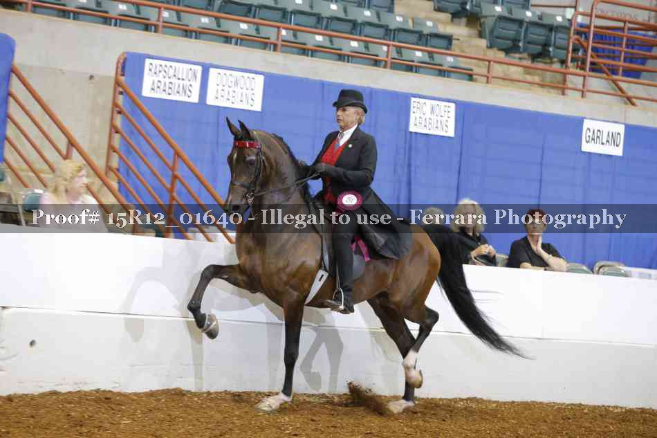 Proof 15R12_01640