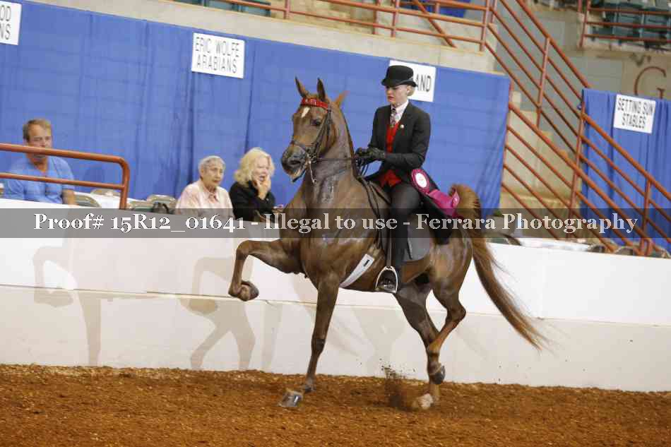 Proof 15R12_01641
