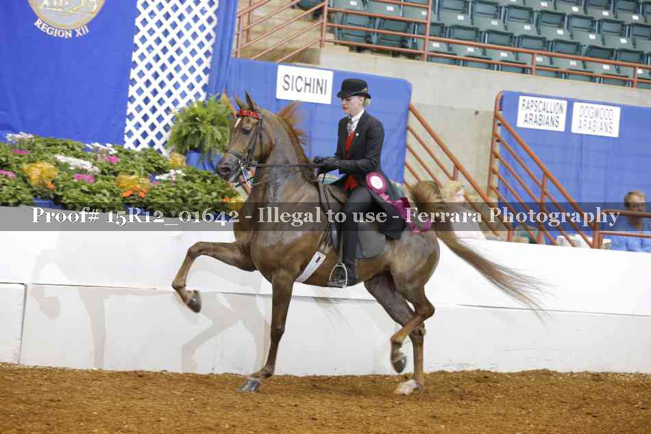 Proof 15R12_01642
