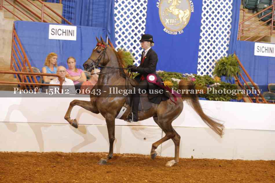 Proof 15R12_01643
