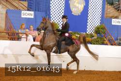 15R12_01643 proof