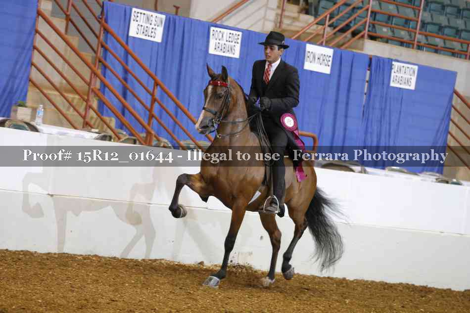Proof 15R12_01644