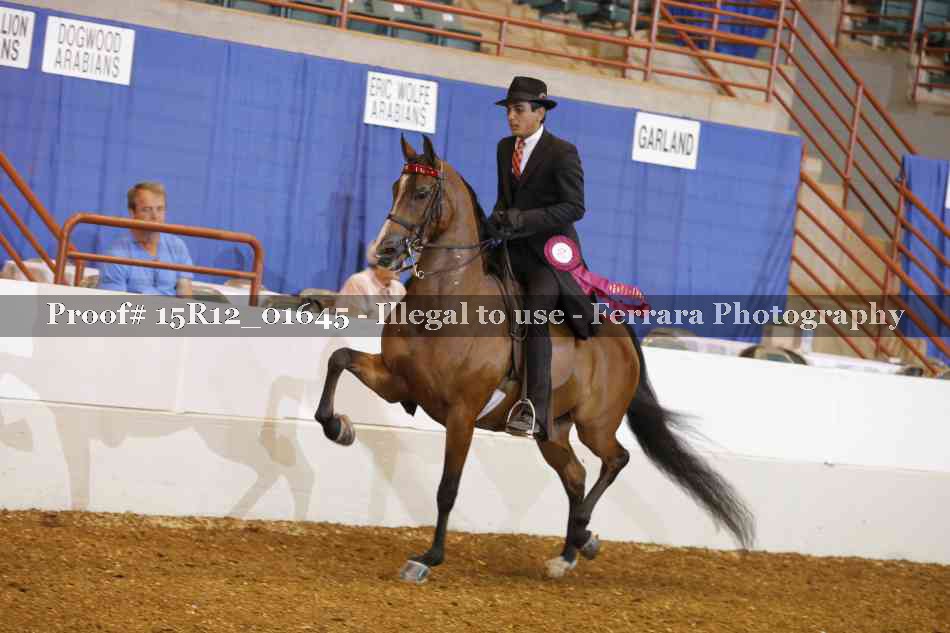 Proof 15R12_01645