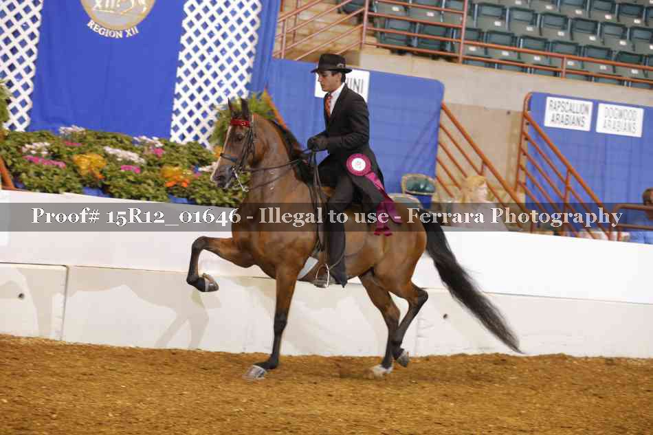 Proof 15R12_01646