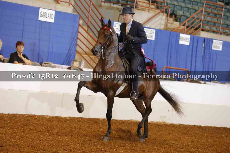 Proof 15R12_01647