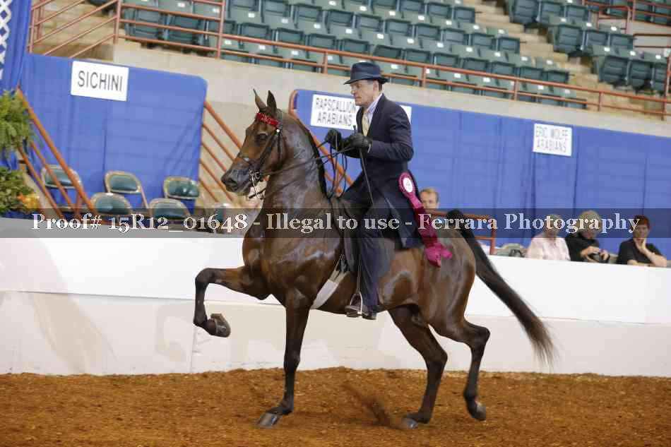 Proof 15R12_01648